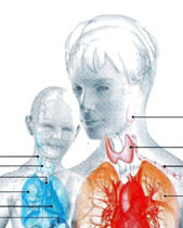 Hashimoto's autoimmune thyroiditis