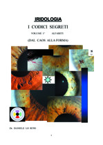 Immagine copertina del libro (altezza 210px - larghezza automatica)