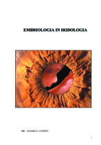 Immagine copertina del libro (altezza 210px - larghezza automatica)